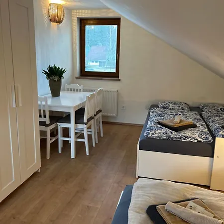 Villa Horsky Se Zahradou Na Javorne U Zelezne Rudy