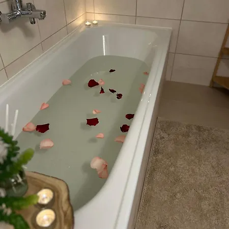 Villa Horsky Se Zahradou Na Javorne U Zelezne Rudy Cachrov