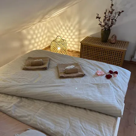 Horský Se Zahradou Na Javorné U železné Rudy