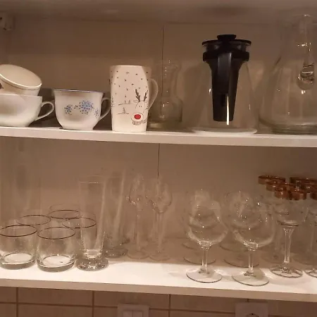 Villa Horský Se Zahradou Na Javorné U železné Rudy Cachrov